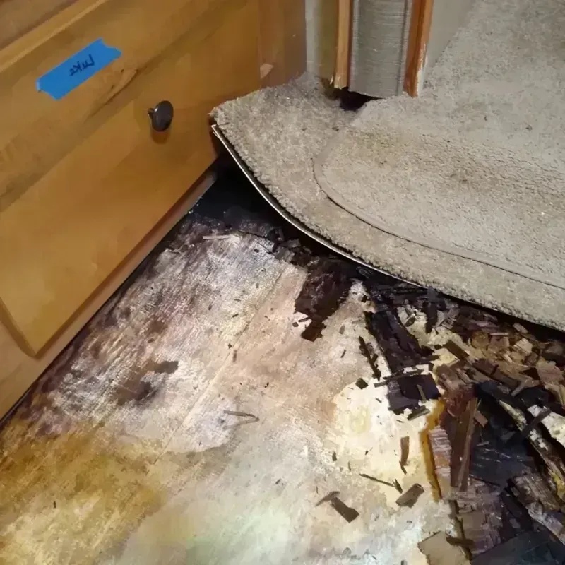 Wood Floor Water Damage in Sea Bright, NJ